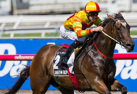 LANKAN RUPEE has been making the most of the Monomeith Stud Farm facilities for over 2 years